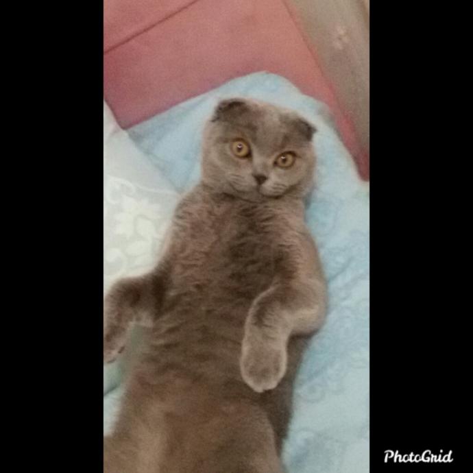 Böyle yatıp beni bekliyor ben ne yapabilirim?😂😂😂