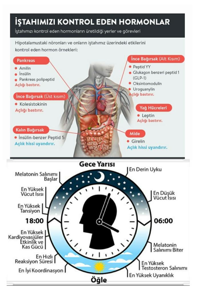 Uyku, yemek, aşk, güven, cinsellik: Ben değil, hormonlarım istiyor😴💕🍝💏💋 dediğin... Hangi hormonun etkisindesin?