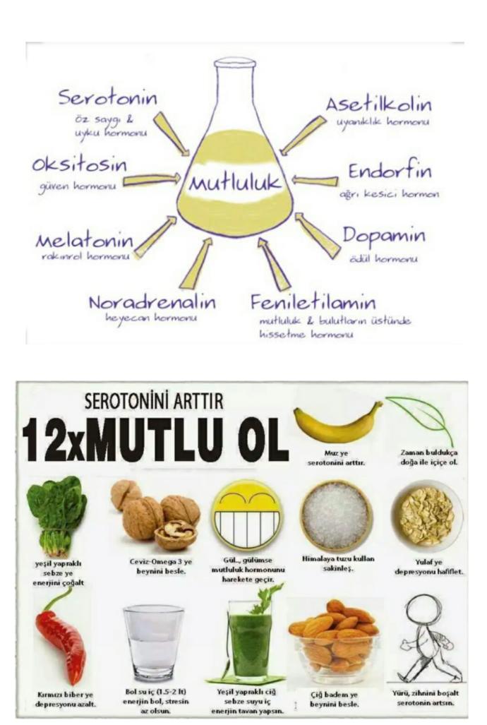 Uyku, yemek, aşk, güven, cinsellik: Ben değil, hormonlarım istiyor😴💕🍝💏💋 dediğin... Hangi hormonun etkisindesin?