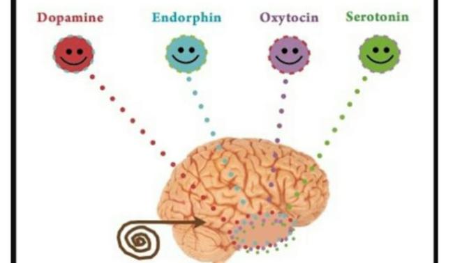 Uyku, yemek, aşk, güven, cinsellik: "Ben değil, hormonlarım istiyor"😴💕🍝💏💋 dediğin... Hangi "hormonun" etkisindesin?