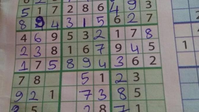 Sudoku çözmeyi sever misiniz?
