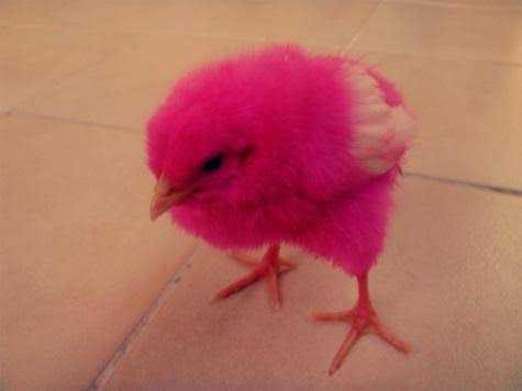 Pembeye şimdi bak! Pembe senin için ne demek?
