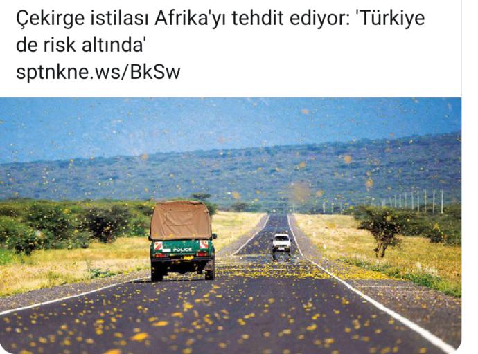 2020 yılı sizce de lanetli bir yıl gibi başlamadı mı?