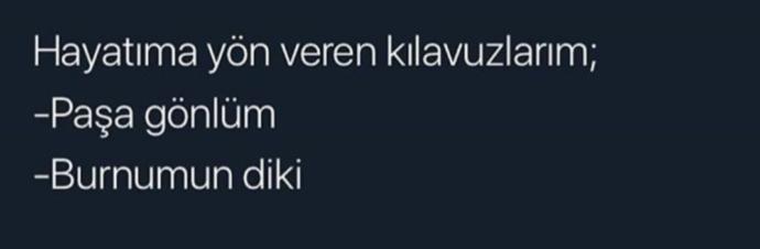 Hayatiniza yön veren kılavuzlar neler?😊😊?