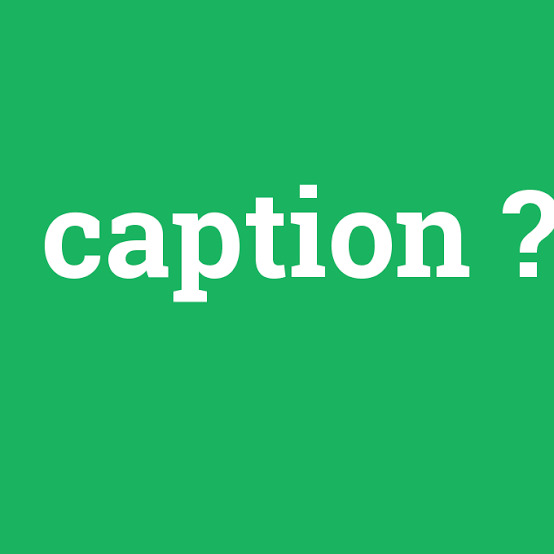 Caption this ne demek?