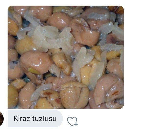 Karadeniz bölgesi bu ülkenin çini değil mi?