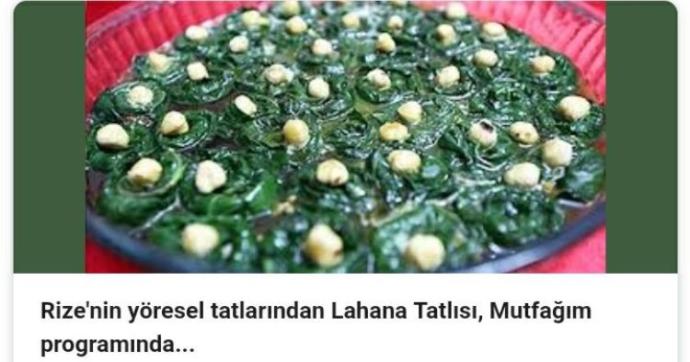 Karadeniz bölgesi bu ülkenin çini değil mi?