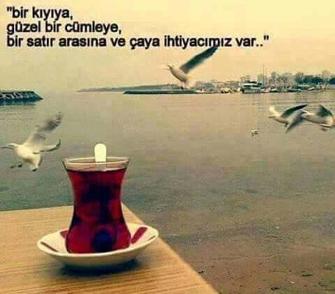 Neye ihtiyacın var?