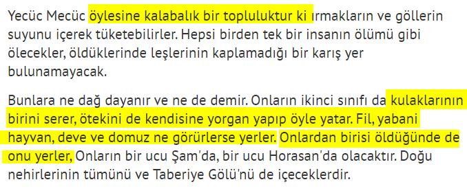 Yecüc Mecüc Çinliler olabilir mi?