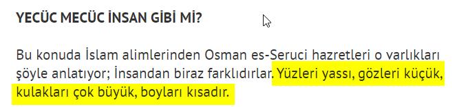 Yecüc Mecüc Çinliler olabilir mi?