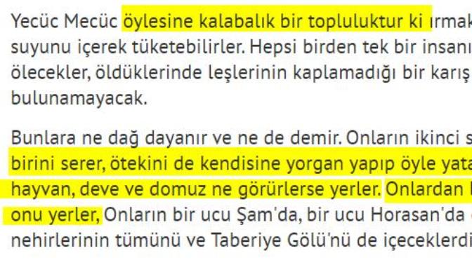 Yecüc Mecüc Çinliler olabilir mi?