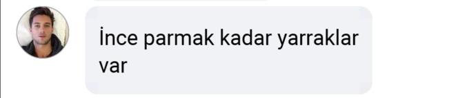 Olabilir