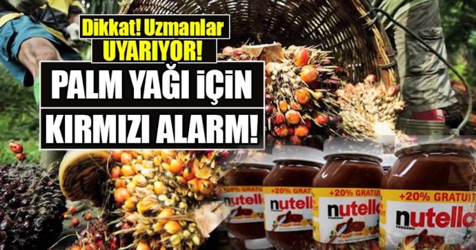 Evde noodle nasıl yapılır?