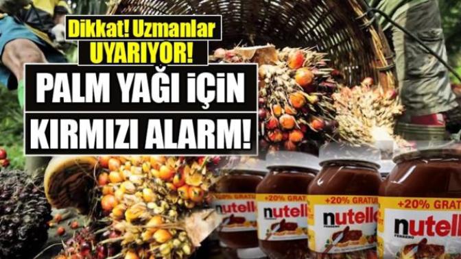 Evde noodle nasıl yapılır?