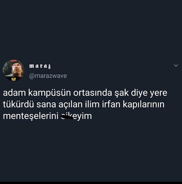 Buraya çok absürt ya da komik bir fotoğraf atar mısınız?