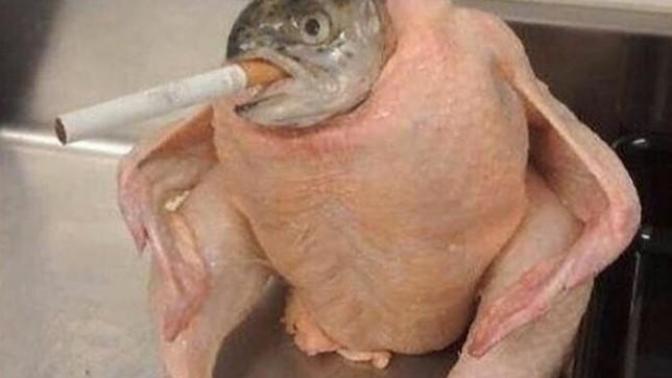 Buraya çok absürt ya da komik bir fotoğraf atar mısınız?