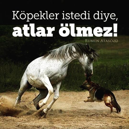 Fatih Terim istifa etmeli mi?
