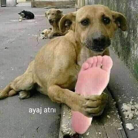 O mantarlı ayağını attın ya bana bi’ uzaklaştık senle orada