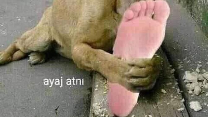 Senin ne fetişin var?