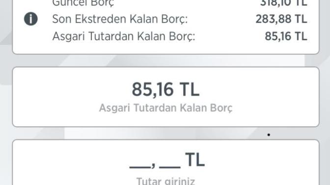 Toplam borcum ne kadar?