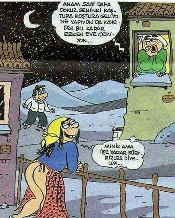 Yuvayı dişi kuş mu yapar?