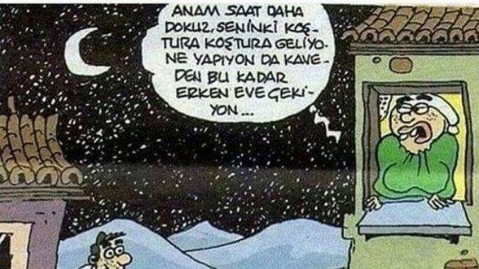 Yuvayı dişi kuş mu yapar?