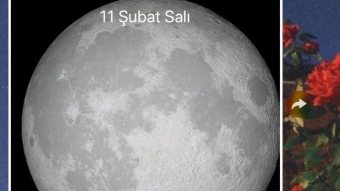 Bu 4 ne demek oluyor ve biz sevgili değiliz?