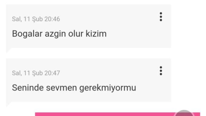 Boğalar azgın mı olur ilişkide?
