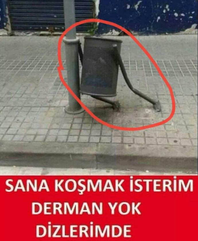 Fotoğraflarda hangi profilden harika görünüyorsunuz? Ön, arka, sağ, sol, her profil 🤳 ?