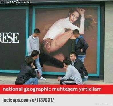 Hangi tarz erkekler size daha itici gelir?