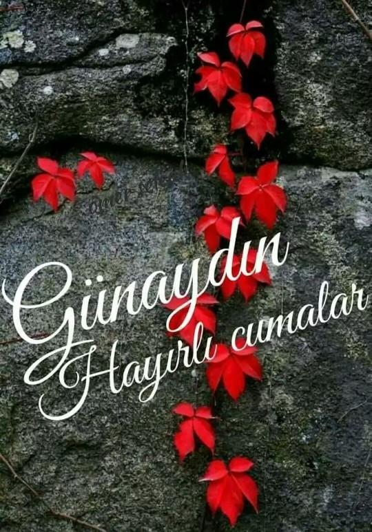 Günaydın hayırlı cumalar hayırlı sabahlar nasılsınız efenim?