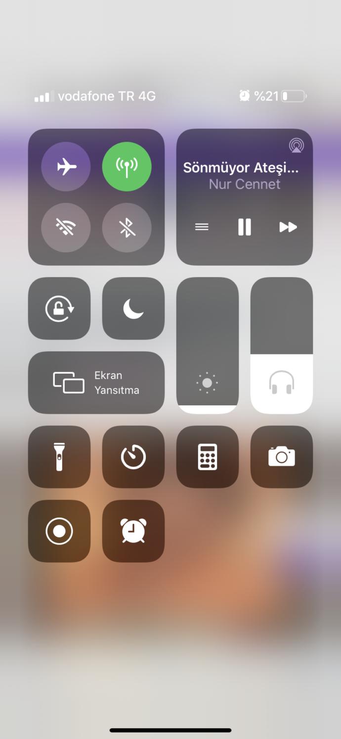 Hangi müziği dinliyorsunuz, dinliyor musunuz?