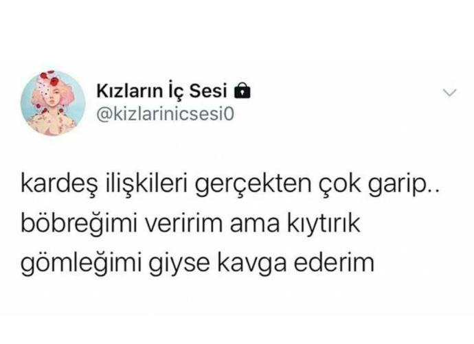 Kardeşinizle tartışmayı sever misiniz?