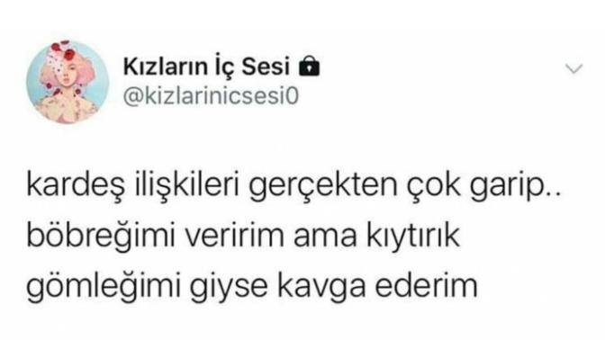 Kardeşinizle tartışmayı sever misiniz?