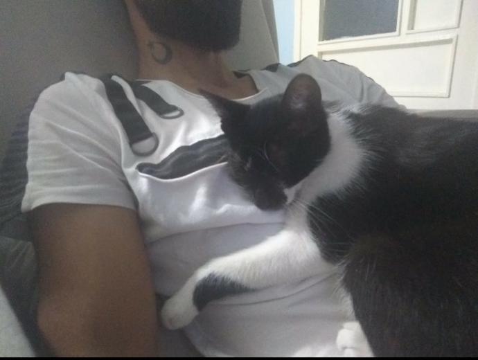 Dünya Kedi Günü kutlu olsun! Benimle kedi resimleri paylaşmak ister misiniz?