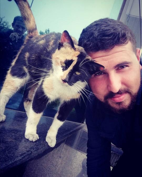 Dünya Kedi Günü kutlu olsun! Benimle kedi resimleri paylaşmak ister misiniz?