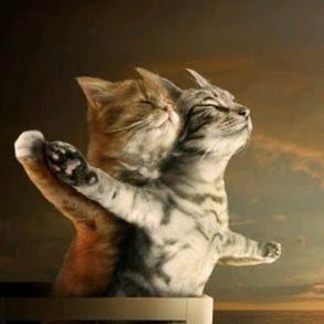 Dünya Kedi Günü kutlu olsun! Benimle kedi resimleri paylaşmak ister misiniz?