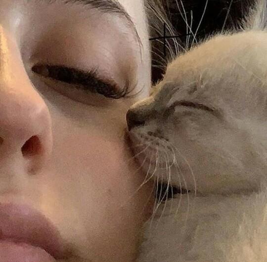 Hoş💖