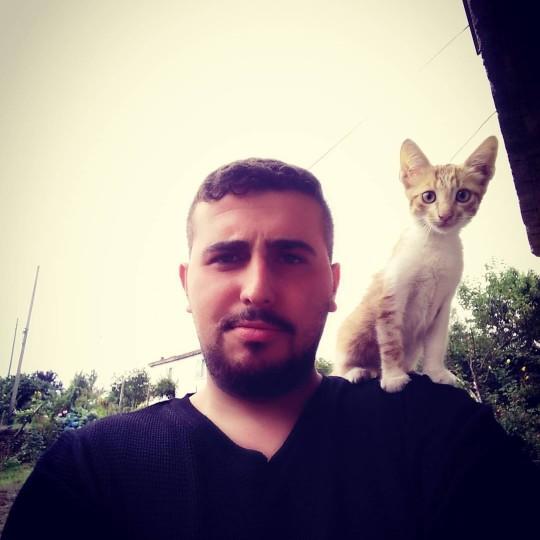 Dünya Kedi Günü kutlu olsun! Benimle kedi resimleri paylaşmak ister misiniz?