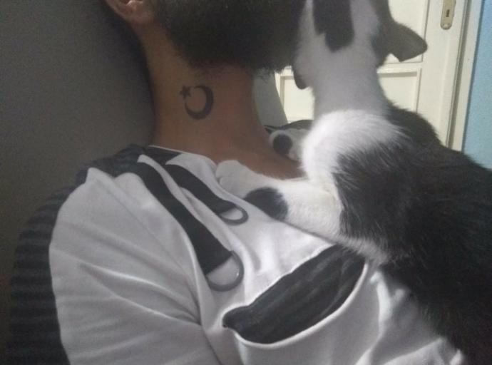 Dünya Kedi Günü kutlu olsun! Benimle kedi resimleri paylaşmak ister misiniz?