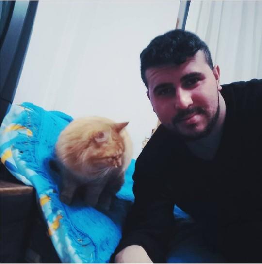 Dünya Kedi Günü kutlu olsun! Benimle kedi resimleri paylaşmak ister misiniz?