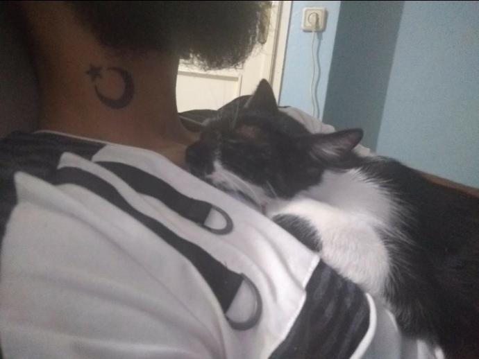 Dünya Kedi Günü kutlu olsun! Benimle kedi resimleri paylaşmak ister misiniz?