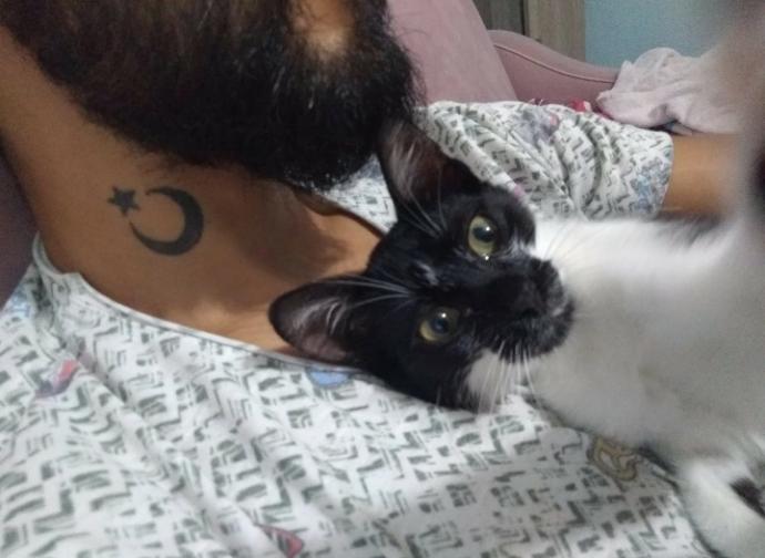 Dünya Kedi Günü kutlu olsun! Benimle kedi resimleri paylaşmak ister misiniz?