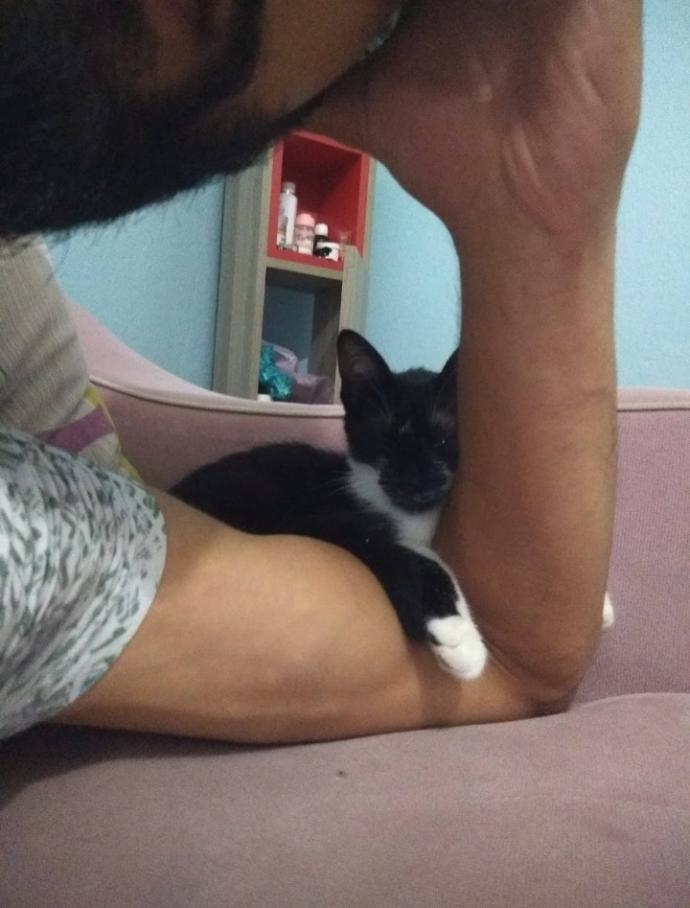 Dünya Kedi Günü kutlu olsun! Benimle kedi resimleri paylaşmak ister misiniz?
