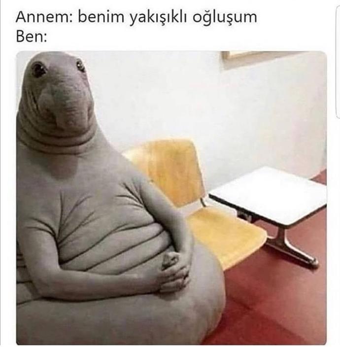 Patlamış mısır sever misiniz?