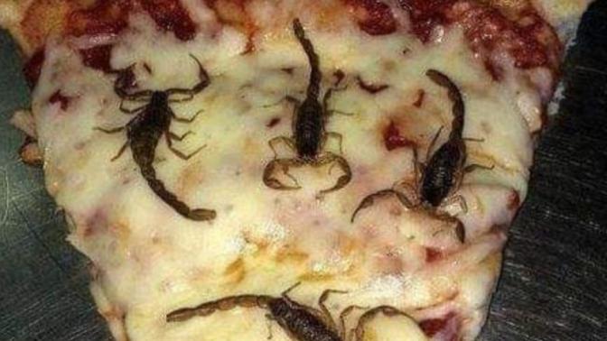 Pizza sever misiniz?
