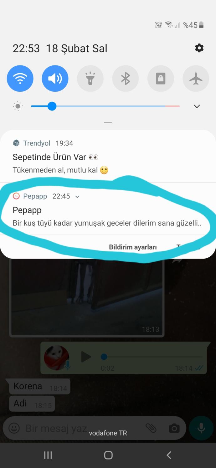 Iyi geceler mesajı aldınız mı?