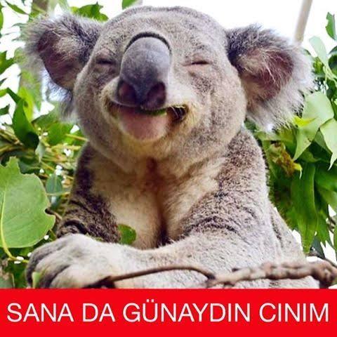 Aldığınız en güzel mesaj neydi?