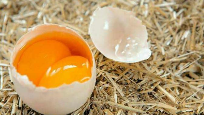 Sizce çift sarılı yumurta doğal mı yoksa yapay mı?
