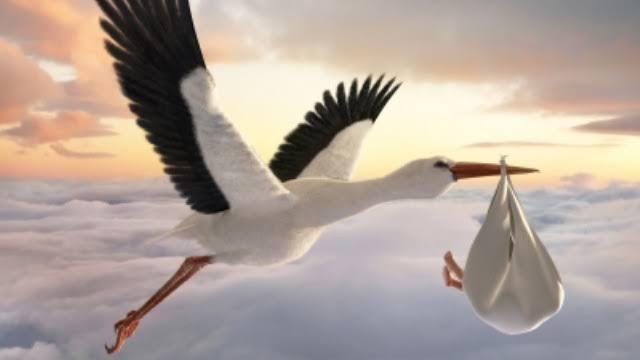 Leylekler Dünya'nın manyetik alanı değiştiğinden dolayı yönlerini şaşırıyorlar artık. Muhtemelen sizin bebişi başka kapıya bıraktı leylekler. 😐 Derhal Müge Anlı ablamızın programına çıkın o bu olayı çözer. 😝😂